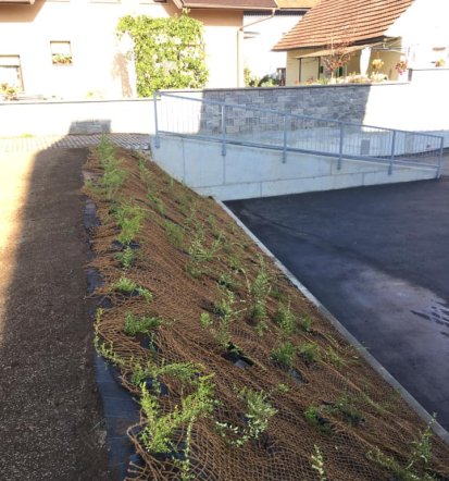 Urejanje okolice Ljubljana, Osrednja Slovenija