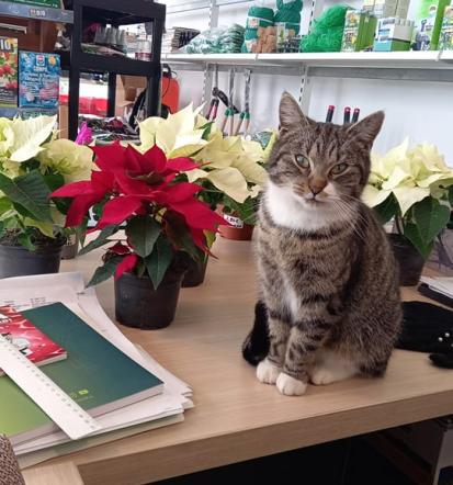 Vrtni center in urejanje okolice Štajerske