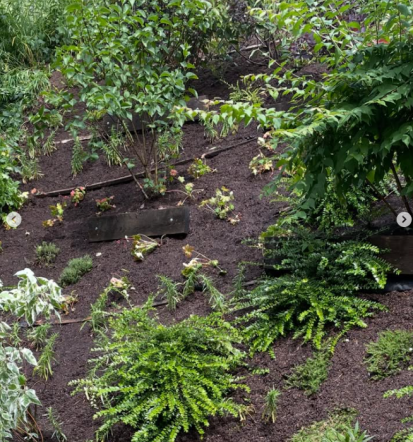 Zatiranje plevela Murska Sobota, Pomurje