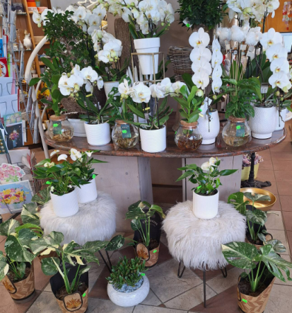 Cvetlične dekoracije za poroke in poslovne dogodke