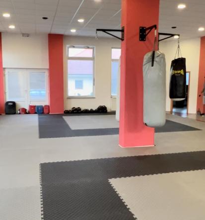 Tajski boks za odrasle Ptuj, Štajerska