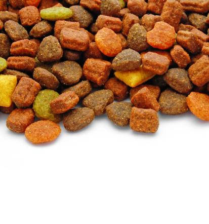 Premium hrana za mačke in pse