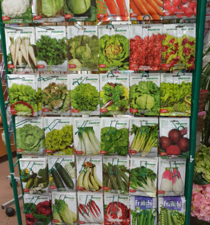 Sobno zelenje in trajnice, Ptuj in Podravska