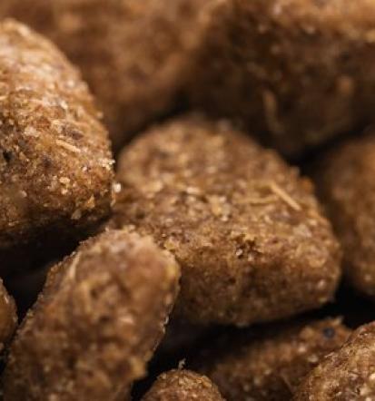 Husse hrana za mačke in pse