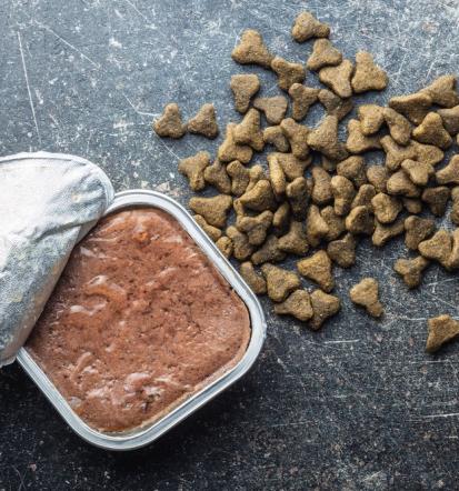 Premium hrana za mačke in pse Pomurje