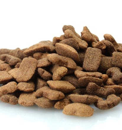 Premium hrana za mačke in pse pomurska regija