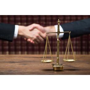 Neli Kandus - notarka