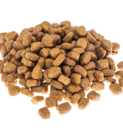 Vodič po naravni in zdravi hrani za pse in mačke v Sloveniji