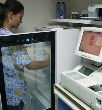 Najboljši veterinar v Pomurju