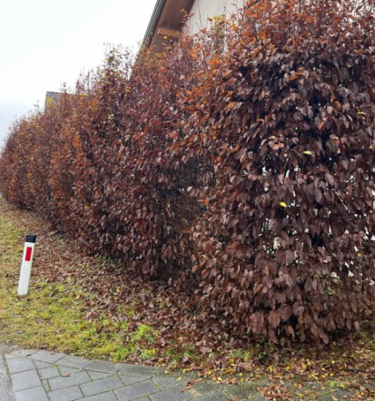 Košnja trave Murska Sobota, Pomurje