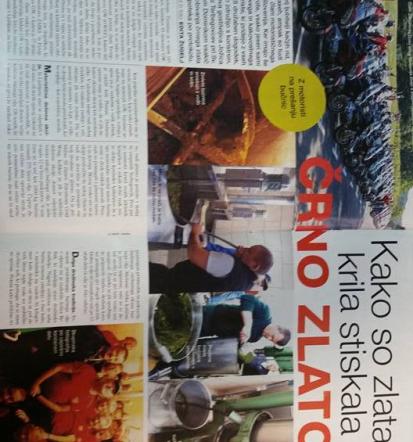 Prodaja bučnega olja Pomurje