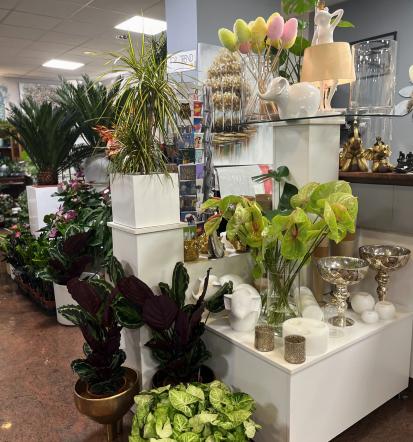 Cvetje za hotelsko avlo