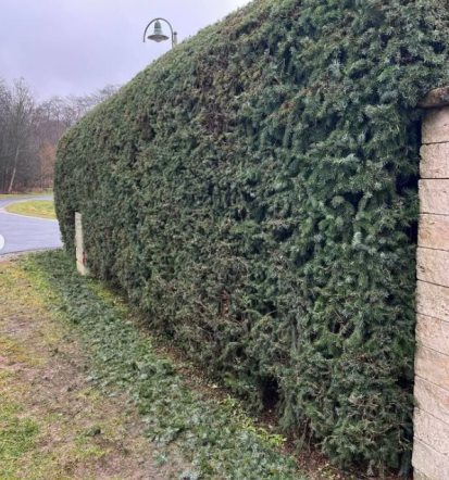 Ugoden odvoz vrtnih odpadkov Murska Sobota