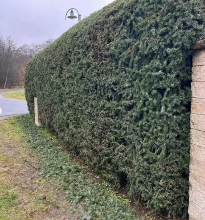 Ugoden odvoz vrtnih odpadkov Murska Sobota