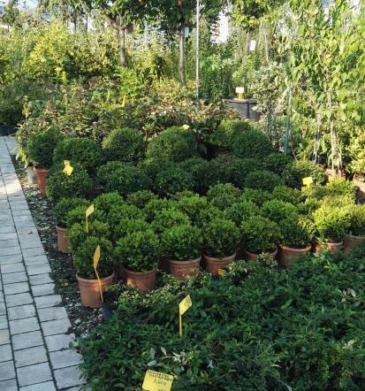 Ugoden namakalni sistem Štajerska