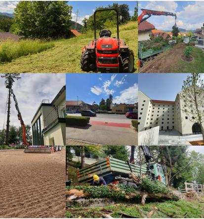 Drevesnica Ljubljana, Osrednja Slovenija