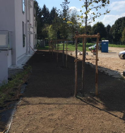 Urejanje zelenih površin Ljubljana, Osrednja Slovenija