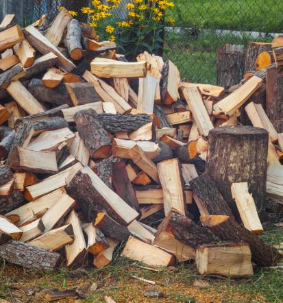 Hitro in kakovostno, ugoden gradbeni les in sekanci Savinjska