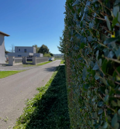 Odvoz zelenega odpada Murska Sobota, Pomurje