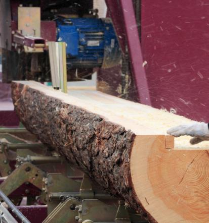 Trajnostni in ugoden rezan les in posek lesa Gorenjska