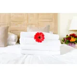 Apartma Kloris
