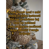 Življenjske poti