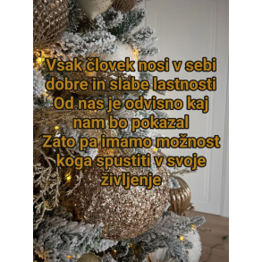 Življenjske poti