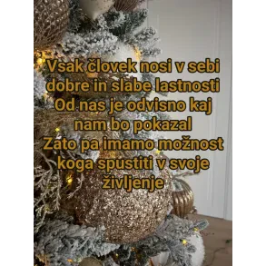 Življenjske poti