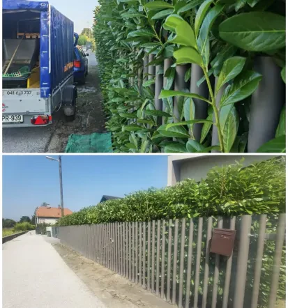 Košnja trave in obrezovanje živih mej Zasavje, Posavje