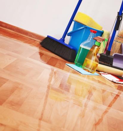 Čiščenje stanovanja Pomurje, Podravska