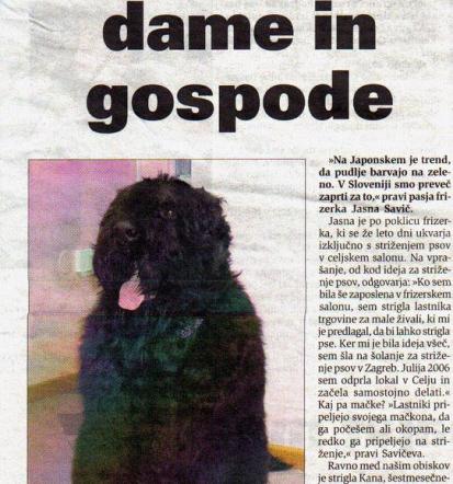 Ugodna nega psov Savinjska