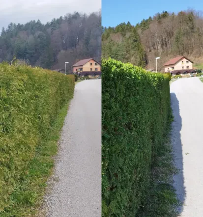 Skuštrani Vrtnar, urejanje okolice Zasavje in Posavje