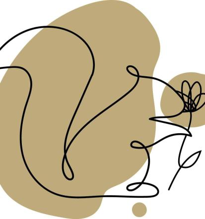 Kemična čistilnica Brežice, okolica