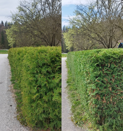Košnja trave in obrezovanje živih mej Zasavje, Posavje