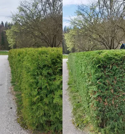 Košnja trave in obrezovanje živih mej Zasavje, Posavje