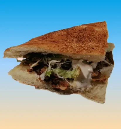 Fast food truck najem za zabavo Celje, Savinjska