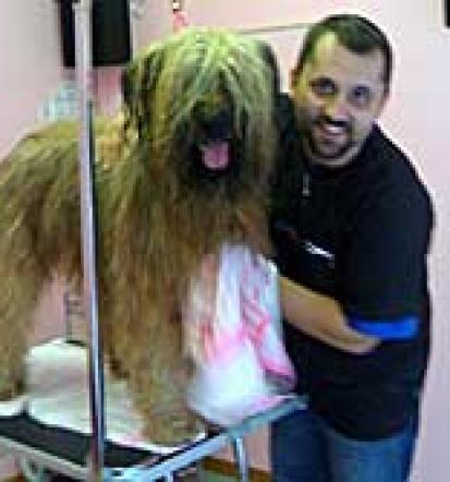 Dober pasji frizer Savinjska