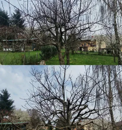 Dober vrtnar Zasavje, Posavje