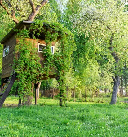 Izdelava lesene hišice na drevesu Osrednja Slovenija