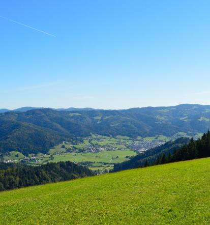 Kolesarska pot Žiri, Gorenjska