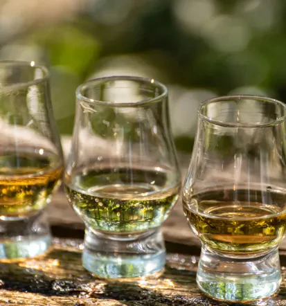 Razumevajoča pomoč pri odvisnosti od alkohola