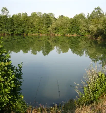Vpis v Ribiško družino Metlika