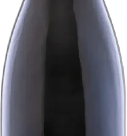 Vinske degustacije Goriška