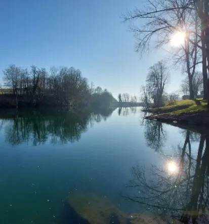 Dovolilnice za ribolov Metlika, Bela krajina