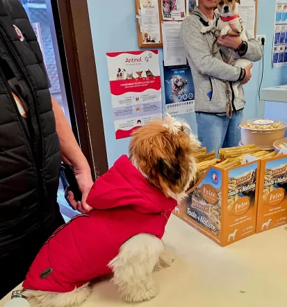 Veterinar Ribnica – pregledi in zdravljenje živali