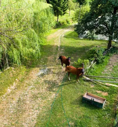 Družinski apartma v naravi Kranj, Tržič