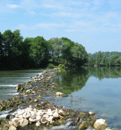 Dovolilnice za ribolov Bela krajina