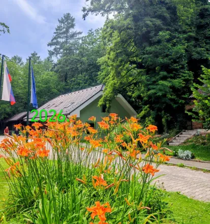 Malice Dravograd, Koroška