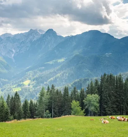 Planinci Rovte, Logatec