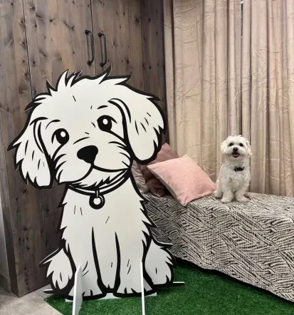 Pasji salon Boni v trgovini Mr. Pet Maribor
